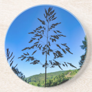 Johnson Grass Getränkeuntersetzer