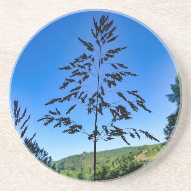 Johnson Grass Getränkeuntersetzer (Vorne)