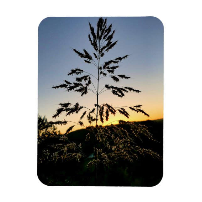 Johnson Grass Magnet (Vertikal)