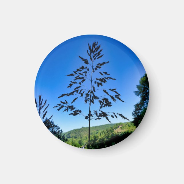 Johnson Grass Magnet (Vorne)