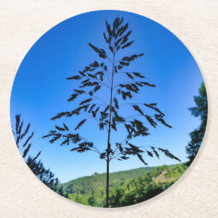 Johnson Grass Runder Pappuntersetzer