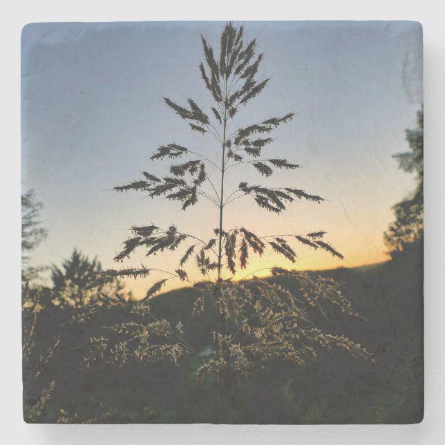 Johnson Grass Steinuntersetzer (Vorderseite)