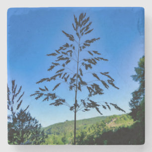 Johnson Grass Steinuntersetzer