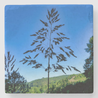 Johnson Grass Steinuntersetzer
