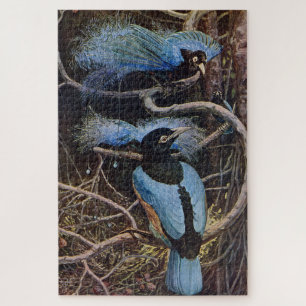 Johnston Vintage Blue Bird Paradise Illustration