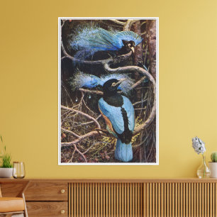 Johnston Vintage Blue Bird Paradise Illustration Leinwanddruck