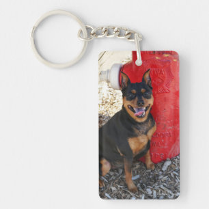 Joie de MInPin