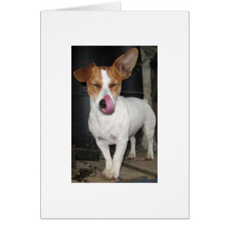 Joie la léchant côtelettes