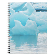 Jökulsárlón Seeschwalben