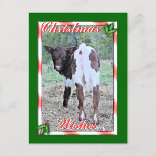 JoleeChristmasPcard-fertigen Sie besonders an Feiertagspostkarte