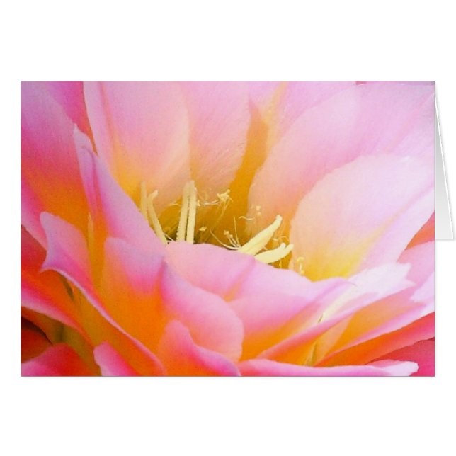 Joli à floral rose (Devant Horizontal)