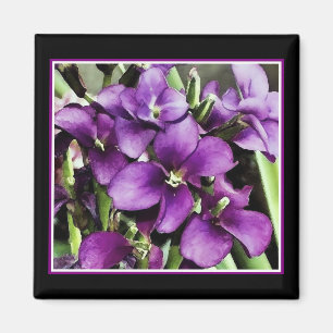 joli aimant de fleur violette