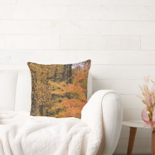 Joli automne laisse Tulip Poplar Coussin réversibl