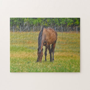 Joli Bay Horse dans Texas Pasture Puzzle