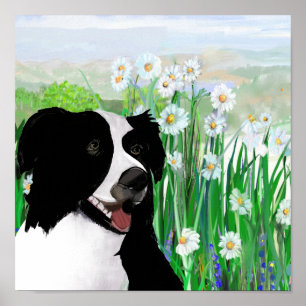 Joli, Border Collie Daisies affiche d'art mural