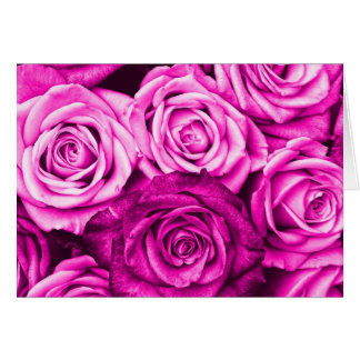 Joli Bouquet de fleurs de roses rose Magenta