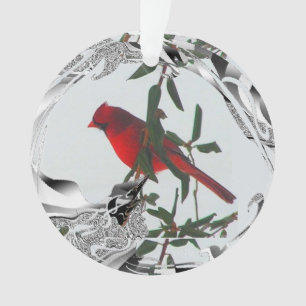 Joli cardinal rouge du Nord