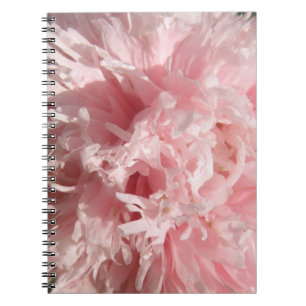 Joli Carnet de pavot rose pâle