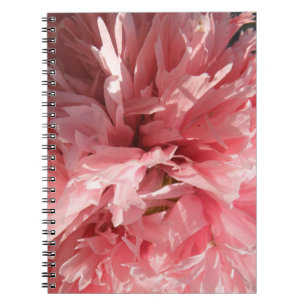 Joli Carnet rose