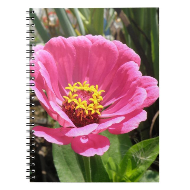 Joli Carnet rose Zinnia (Devant)
