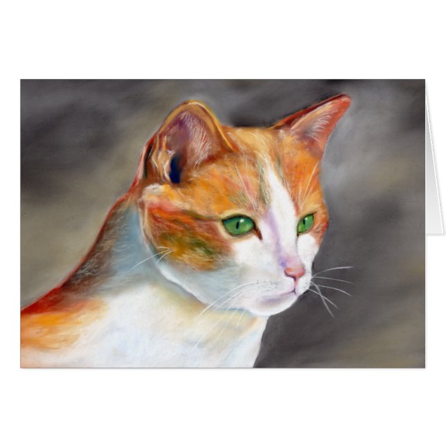 Joli chat gingembre (a348) (Devant Horizontal)