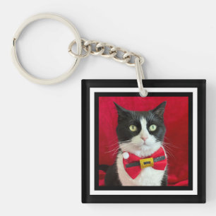 Joli chat smoking pour Noël