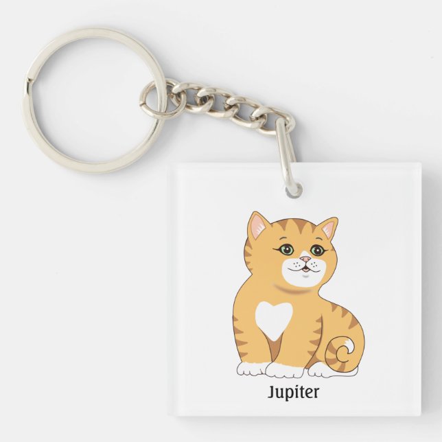 Joli chat tigré orange (Devant)