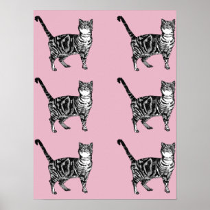 Joli Chat Tigré Rayé Rose Affiches d'Art Chats