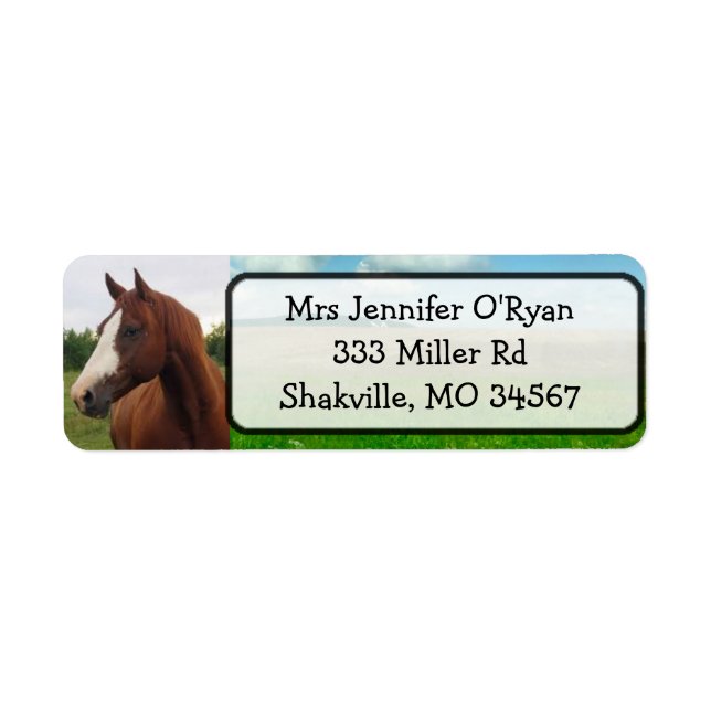 Joli cheval Adresse de retour Étiquettes (Devant)