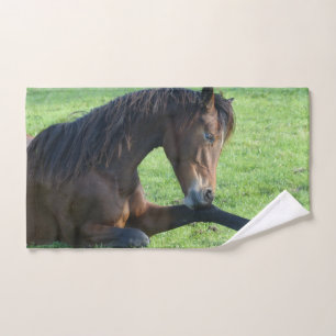 Joli Cheval Brown allongé dans l'herbe
