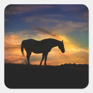 Joli cheval dans les Stickers Sunset du Sud-Ouest