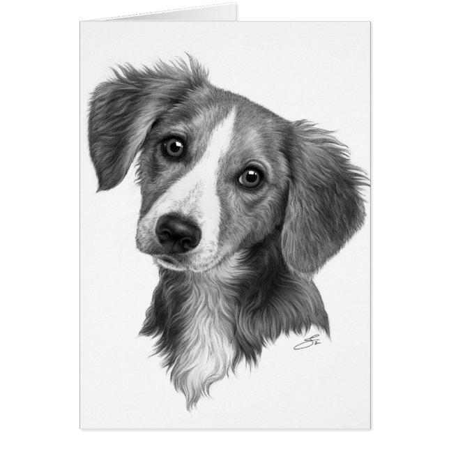 Joli Chiot ! (Devant)