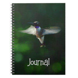 Joli colibri dans le Carnet du Journal des vols
