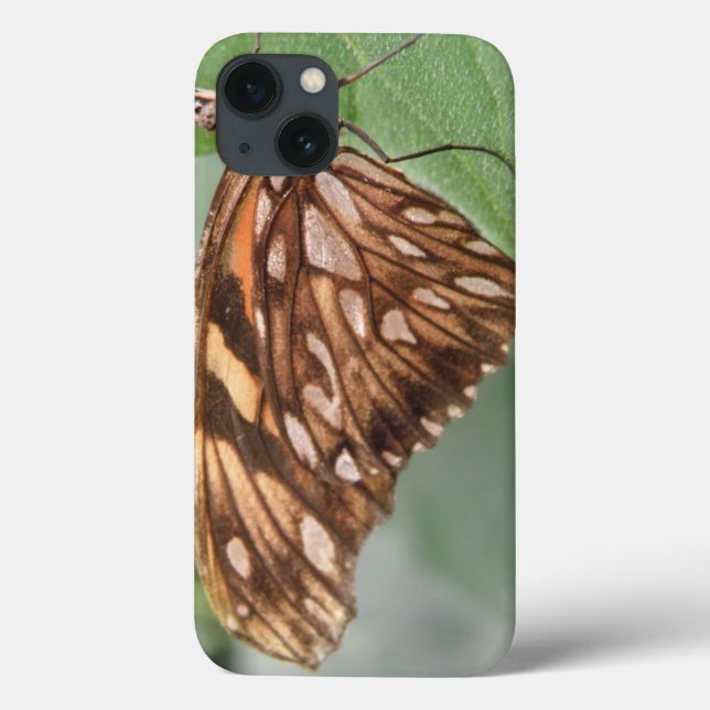 Joli coque ipad papillon Brown (Verso)