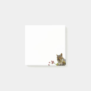 Joli écureuil sauvage sur des notes Post-it blanch