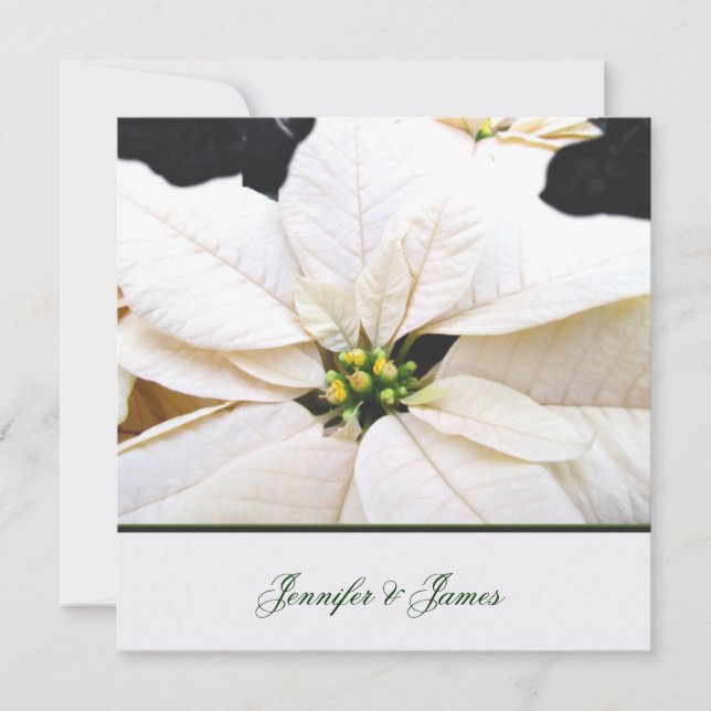 Joli Faire-part de mariage Poinsettia (Devant)