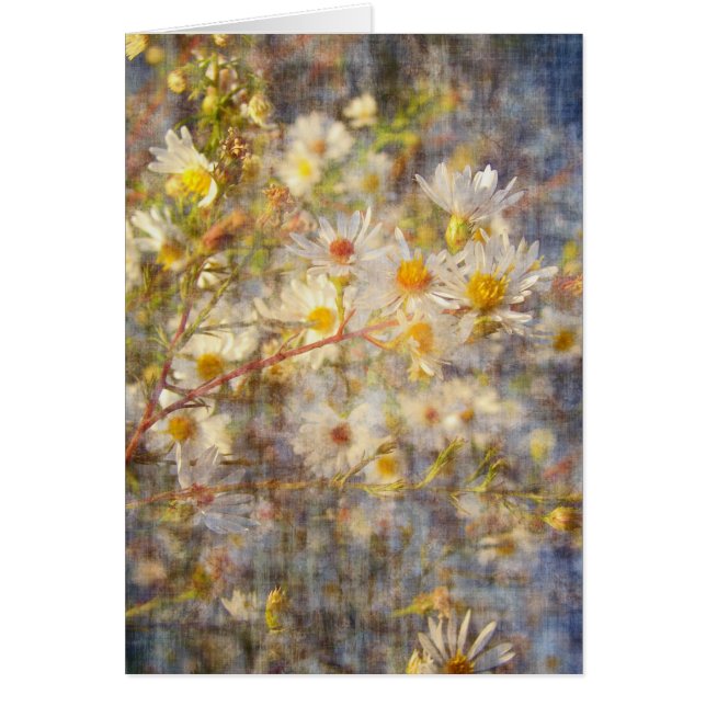 Joli Fleur sauvage (Devant)