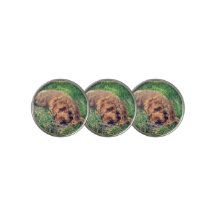 Joli Golden Doodle avec texte