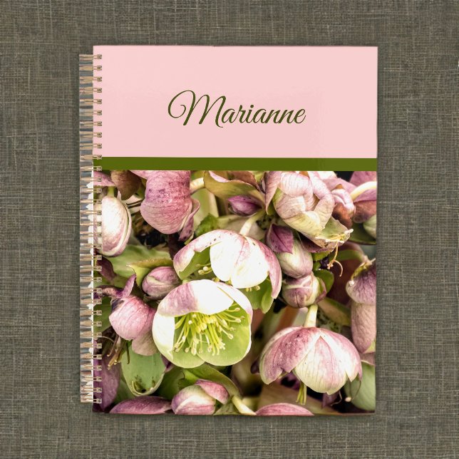 Joli Hellebore rose et olive personnalisé (Créateur téléchargé)