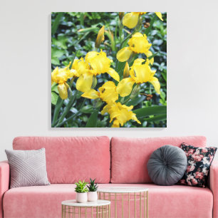Joli Jaune Iris Fleur Toile De Jardin
