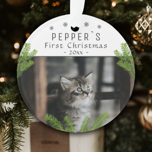 Joli kitten de premier Noël Chat Photo de Noël
