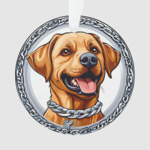 Joli labrador jaune