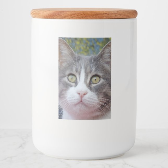 Joli look Chat Étiquette Conteneur alimentaire (Devant)