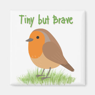 Joli Magnet Oiseau Robin