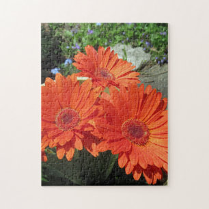 Joli Orange Daisy Flower Photo Puzzle