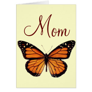 Joli papillon de monarque