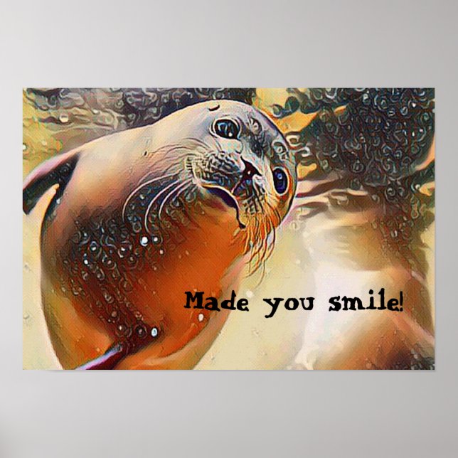 Joli Phoque Faune Pop Art Made You Smile Poster (Devant)