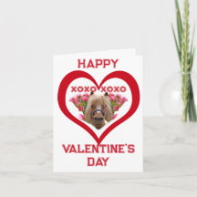 Joli poney sur cartes de Saint-Valentin pour enfan