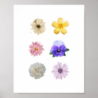 Joli poster de fleurs