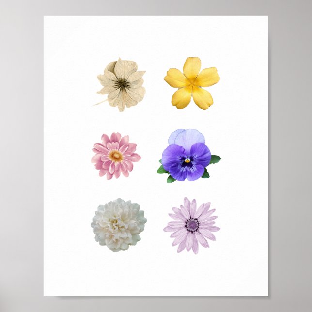 Joli poster de fleurs (Devant)